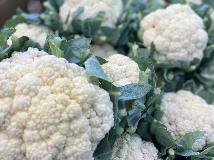 Choux-fleurs rangés en caisse, feuilles encore vertes