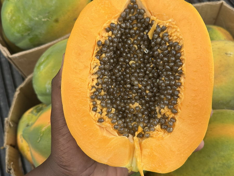 Papaye, Papaay en wolof, au rayon fruits d'OKO LANQ