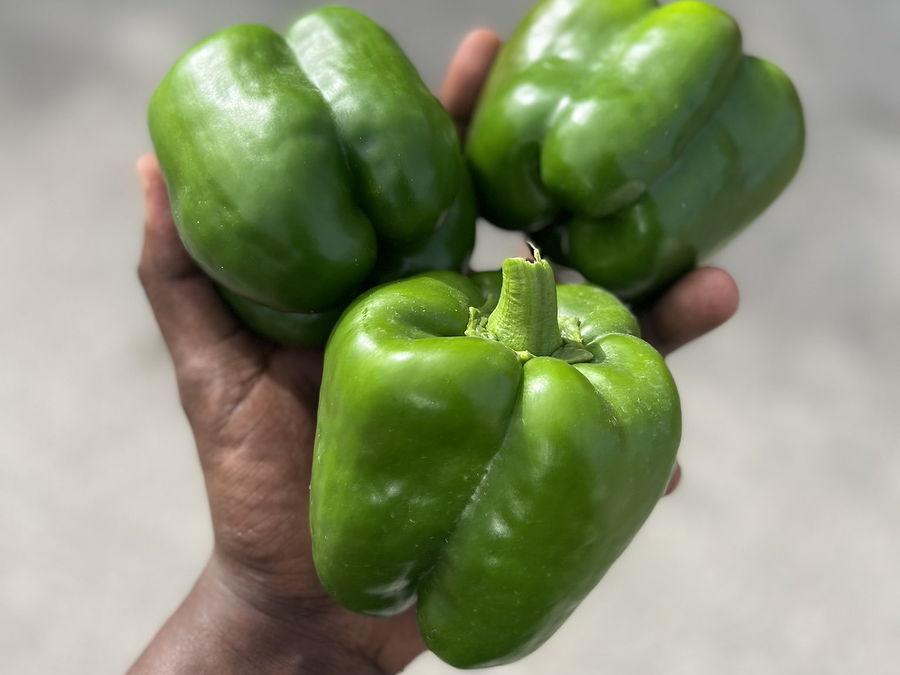Poivron, au rayon légumes d'OKO LANQ